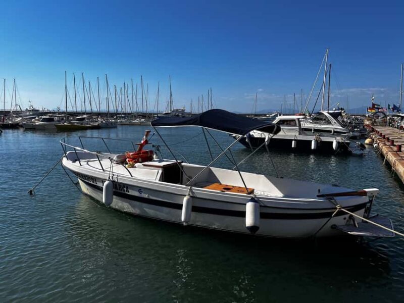 Cilento Sea: Boat Tour, Swim Stop, and Tasting - Who Would Love This Tour?