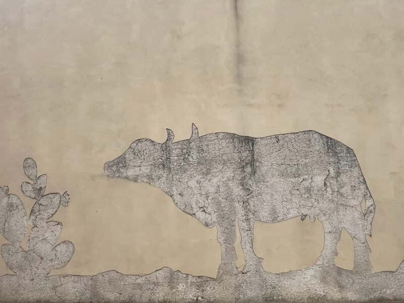 Cilento tour with mozzarella tasting for cruise passengers - Key Points