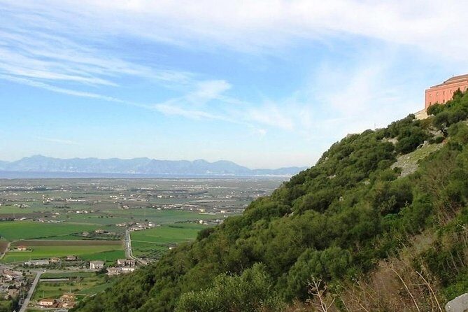 Cilento Wine: Tour & Tasting Experience - What to Expect from the Cilento Wine Tour