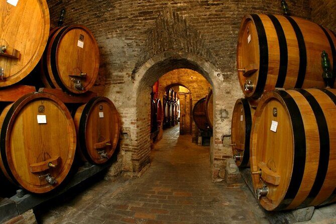 Cilento Wine: Tour & Tasting Experience - FAQs