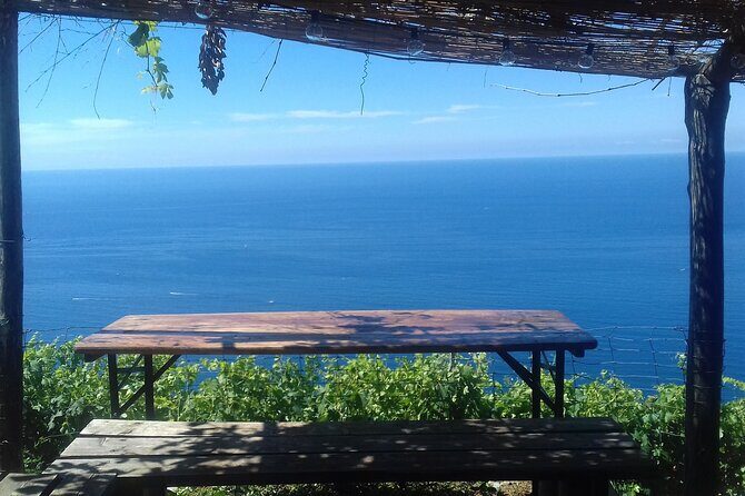 Cinque Terre by train and boat - An In-Depth Look at the Cinque Terre Tour