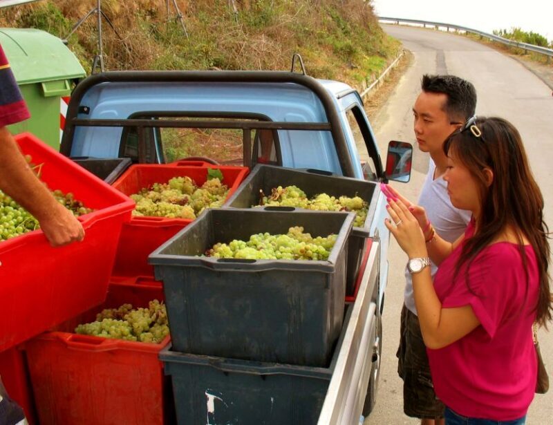 Cinque Terre Private Day Trip from Florence - Exploring the Cinque Terre on a Private Day Trip from Florence