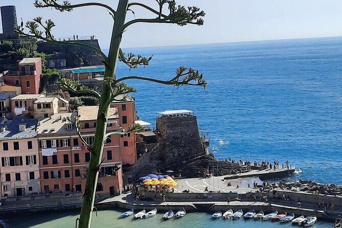Cinque Terre Semi-Private Day Tour from Montecatini Terme - Key Points