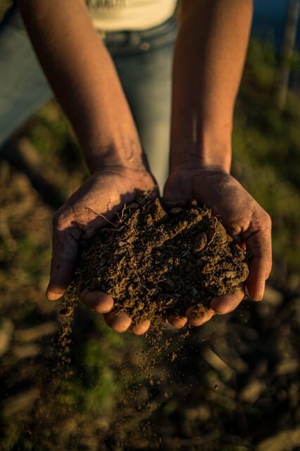 Cinque Terre: tasting in the cellar with visit to vineyards - Key Points