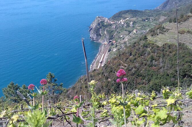 Cinque Terre unforgettable hiking experience - What We Love and What to Watch Out For