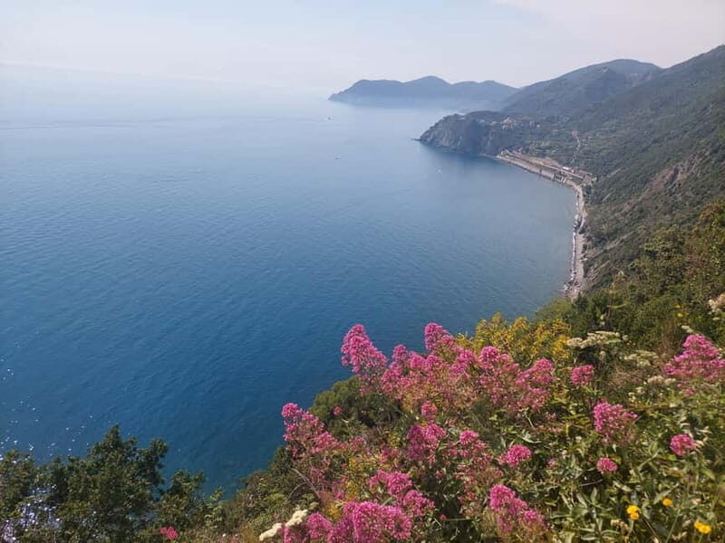 Cinque Terre Villages Walking panoramic tour - The Practical Side: What’s Included and What’s Not