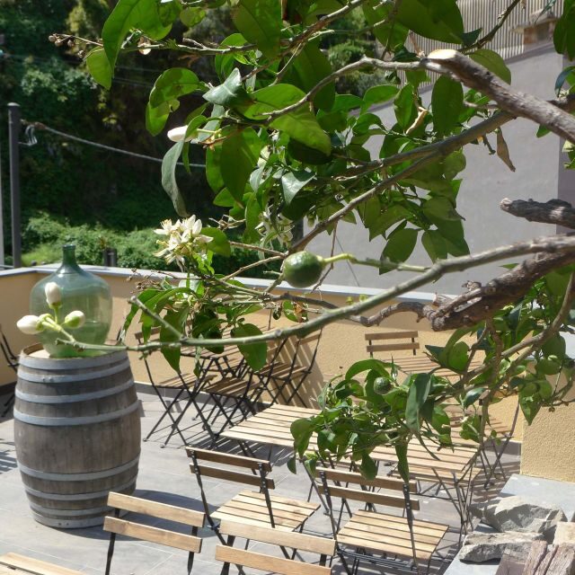 Cinque terre wine tour and tasting with the somelier - Who Would Love This Tour?