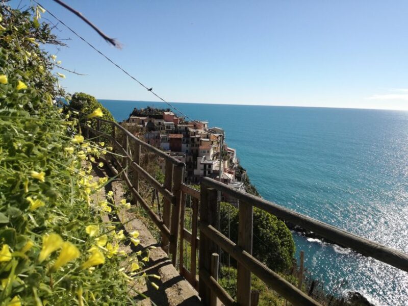 Cinque terre wine tour and tasting with the somelier - The Bottom Line