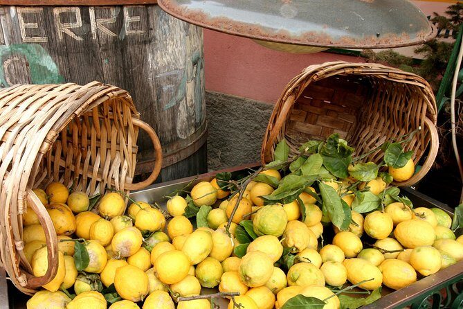 Cinqueterre and Pisa Shore Excursion from Livorno - Who Should Consider This Tour?