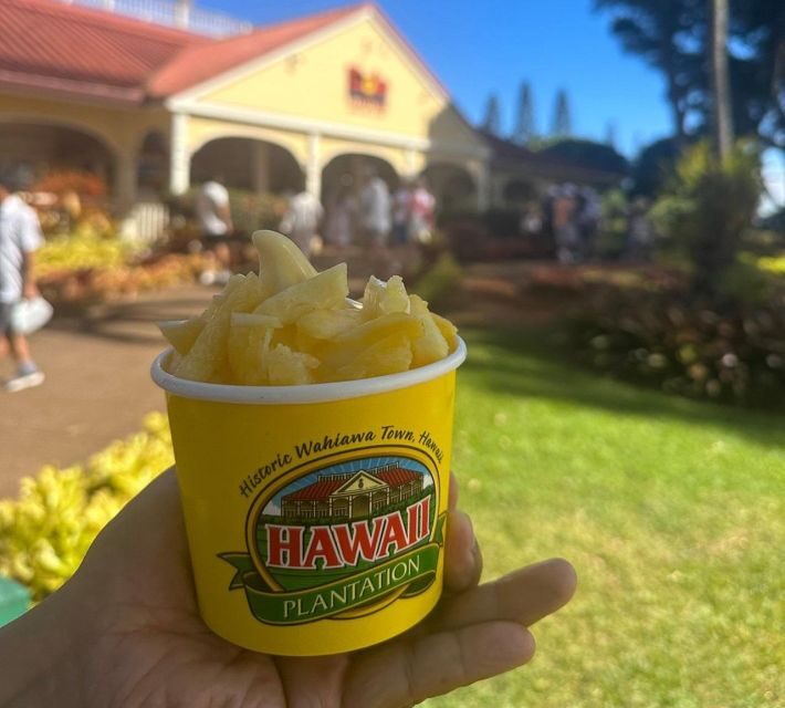 Circle Island: Swim with Turtles and Explore Paradise Oahu - The Itinerary Breakdown: What You Can Expect