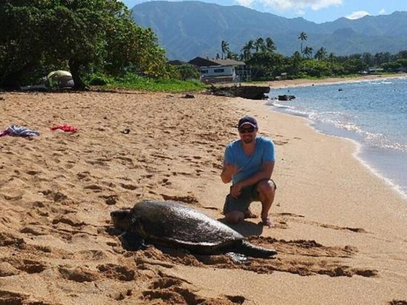 Circle Island: Swim with Turtles and Explore Paradise Oahu - FAQ