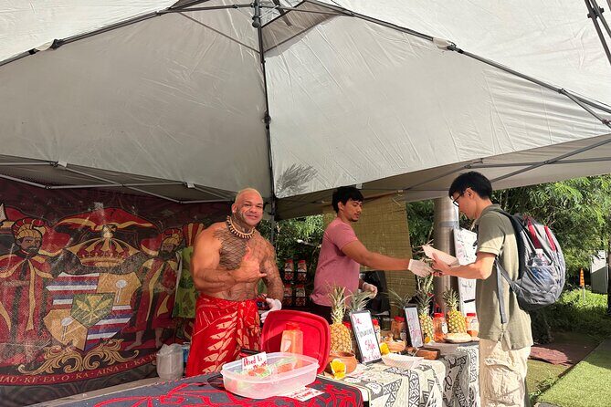 Circle Island Tour - Who Should Consider This Tour?