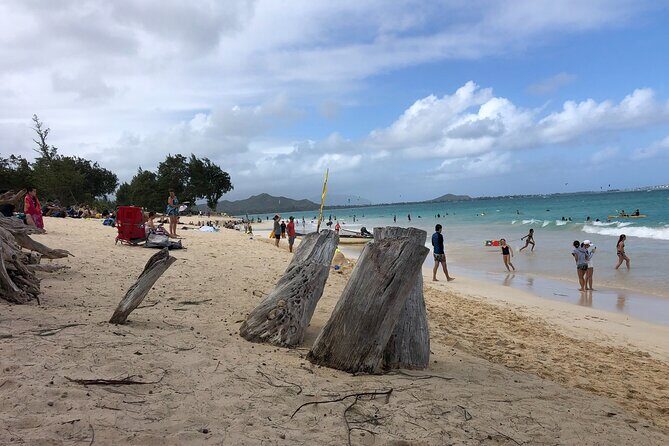 Circle Island tours - swim with turtles,Private & Small Group Tours - The Benefits of a Small Group