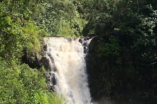 Circle Island tours - swim with turtles,Private & Small Group Tours - The Value for Money