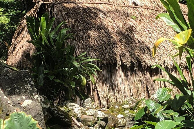 Circle Island tours - swim with turtles,Private & Small Group Tours - Who Will Love This Tour?