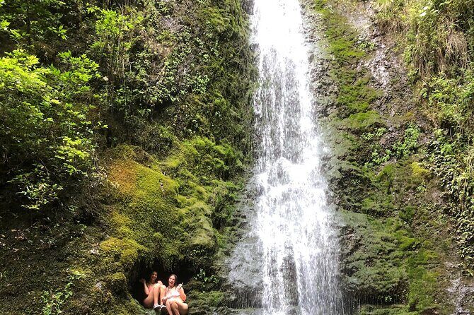 Circle Island tours - swim with turtles,Private & Small Group Tours - The Sum Up