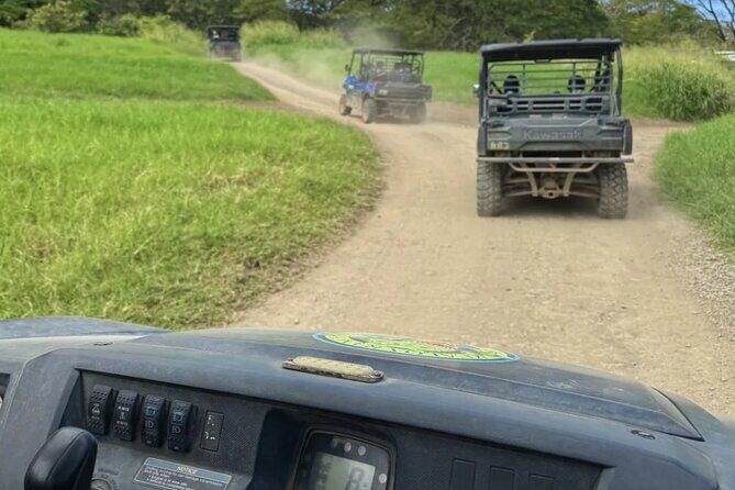 Circle Oahu Island Private Tour with Daily Chauffeur - How to Make the Most of This Tour