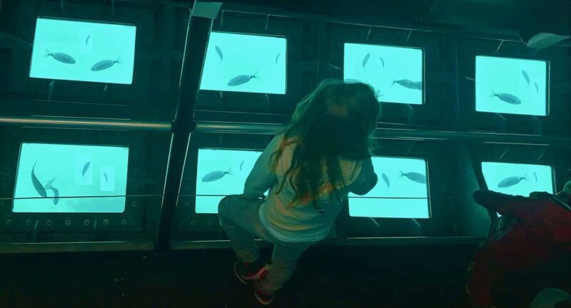 Circuit 2 H bateau avec vision sous-marine/Sites classés - The Sum Up