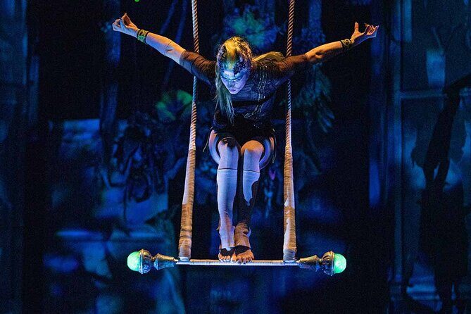 Cirque du Soleil JOYÀ Admission Tickets - Who Should Consider This Experience?
