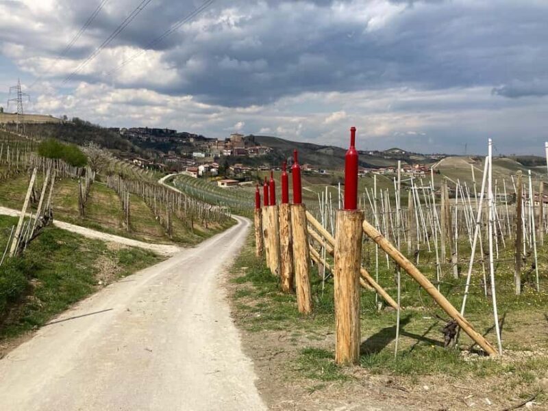 Cisterna d'Asti: E-Bike Tour Through Hills and Vineyards - What to Expect on the Tour