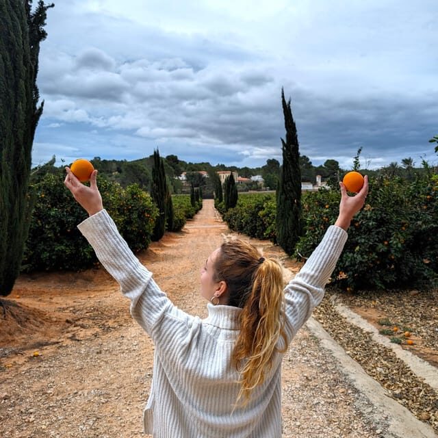 Citrus Treasures: Exploring Valencia's Orange Grove - What to Expect from the Citrus Treasures Tour