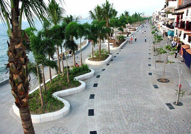 City and Tequila Tour in Puerto Vallarta - Key Points