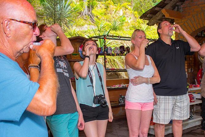 City and Tequila Tour in Puerto Vallarta - Real Traveler Feedback