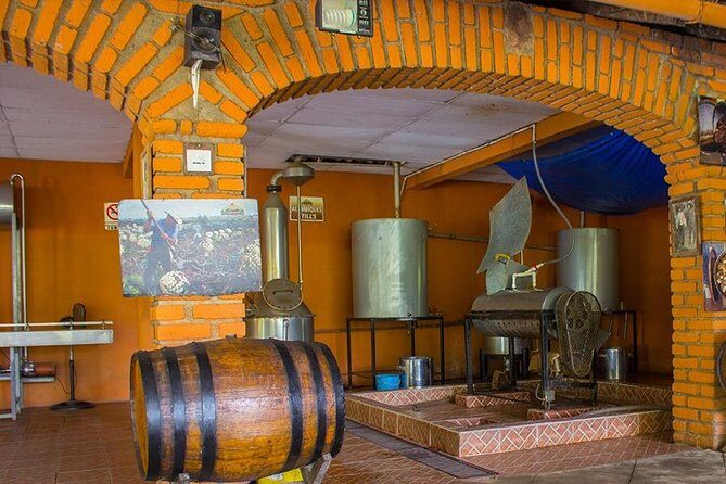 City and Tequila Tour in Puerto Vallarta - The Sum Up: Is This Tour Right for You?