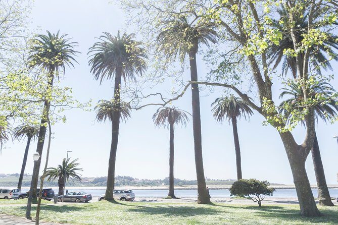 City Bike Rental in Porto - FAQ