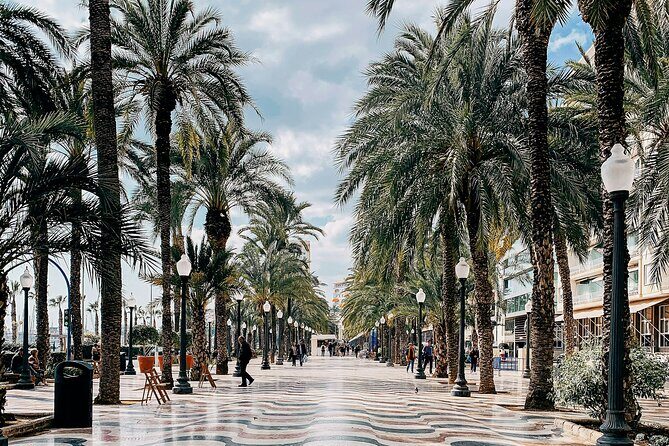 City Bike Tour in Alicante - Exploring Alicante on Two Wheels: An Honest Look at the City Bike Tour