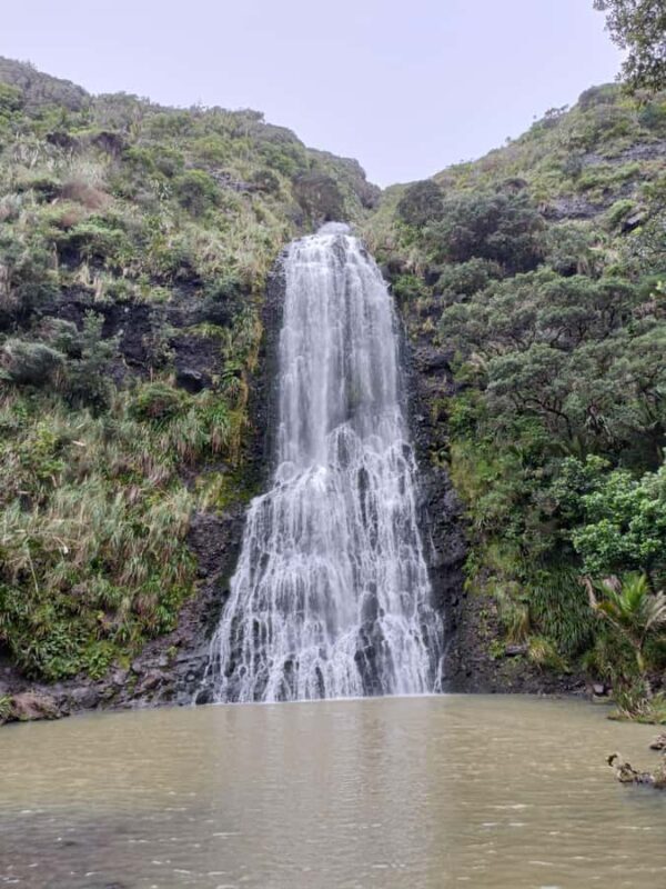 City & Coast & Country A Relaxed Day Tour from Auckland - Key Points