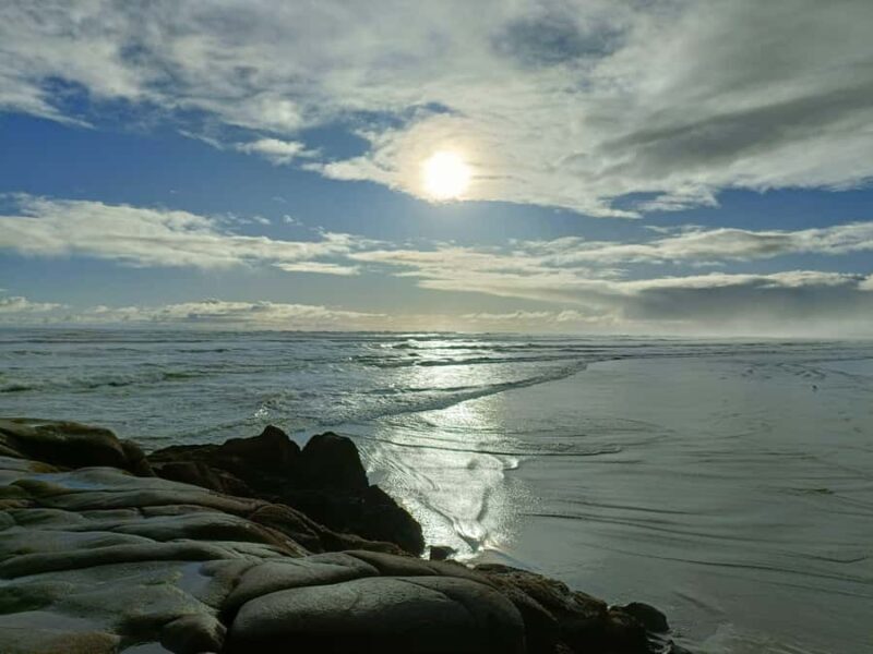 City & Coast & Country A Relaxed Day Tour from Auckland - The Sum Up