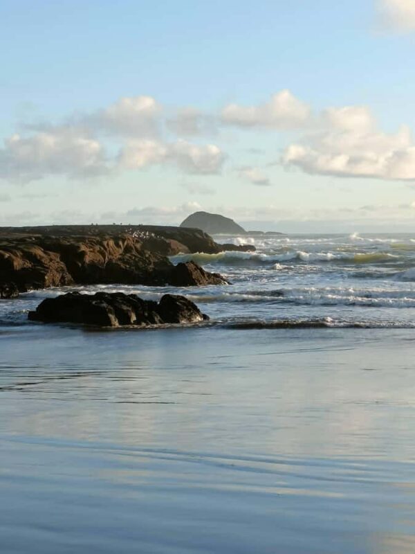 City & Coast & Country A Relaxed Day Tour from Auckland - FAQ