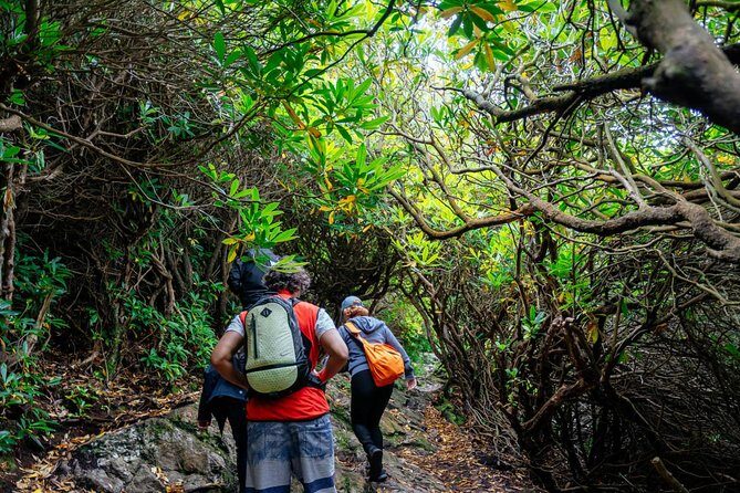 City Explorer: Howth Private Day Trip - What Travelers Love About It