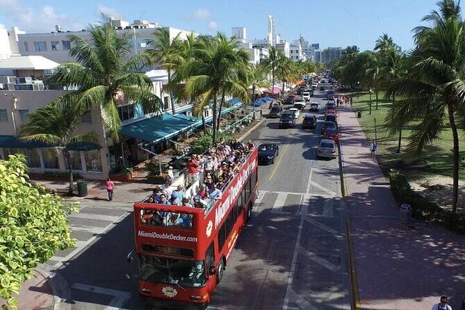 City Half Day Tour of Miami by Bus with Sightseeing Cruise - The Experience: What to Expect from This Miami Tour
