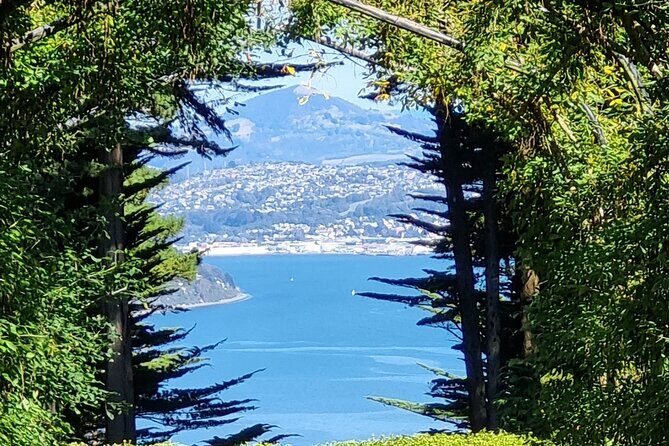 City Highlights, Larnach Castle & Peninsula Views - The Itinerary in Detail: What to Expect