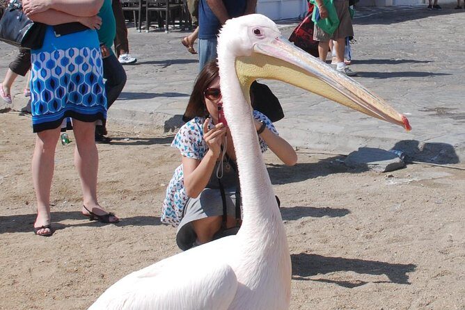 City & Island Tour - What’s Included and What’s Not?