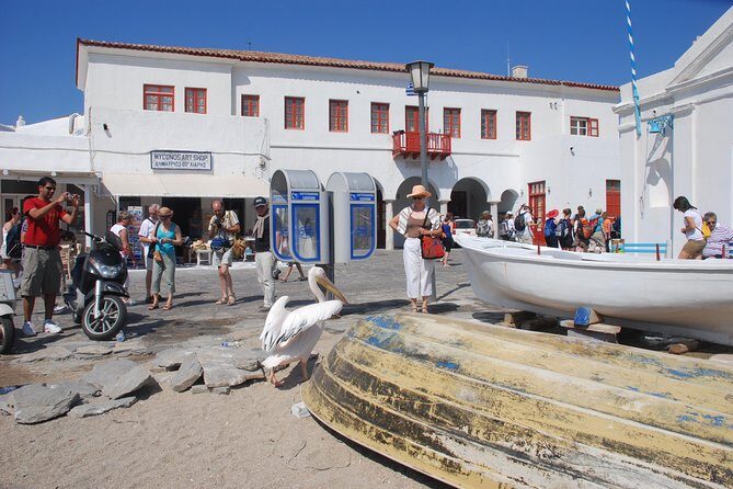 City & Island Tour - The Sum Up: Who Is This Tour Best For?