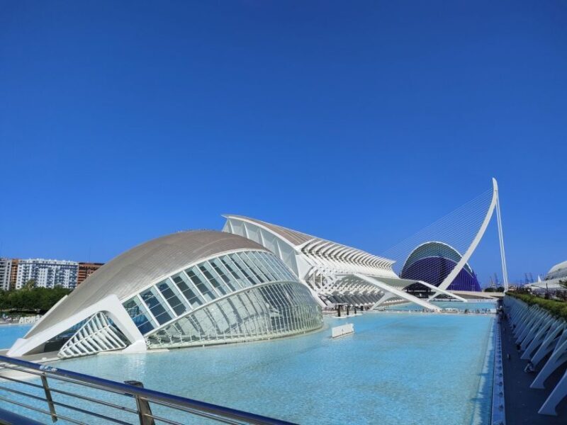 City of Arts and Sciences Private Bike tour - Key Points