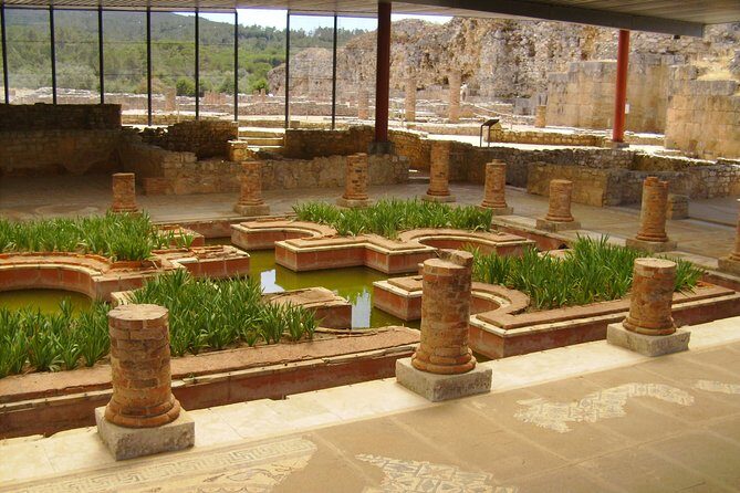 City of Students - Coimbra Private Tour from Lisbon - Getting a Feel for the Tour