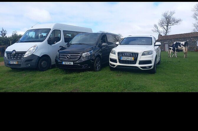 City Ponta Delgada, Airport Transfers. Shuttles. Taxi. Minibus - An In-Depth Look at the Transfer Experience