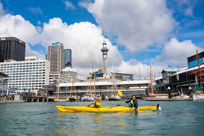 City Scenes Kayak Tour in Auckland - Explore the Waterfront - What Is the City Scenes Kayak Tour in Auckland?