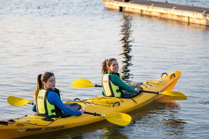 City Scenes Kayak Tour in Auckland - Explore the Waterfront - The Cost and What You’re Getting