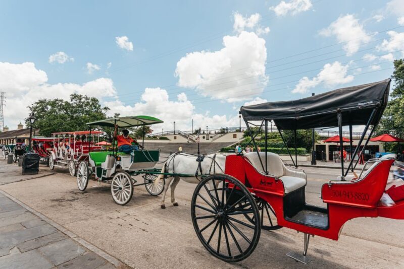 City Sightseeing New Orleans HOHO Bus Tour & Bookable Extras - What You’re Getting — And What You’re Not
