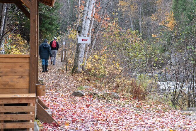 City tour and hiking to the Canyon and Waterfall in the Park - Practicalities and Tips