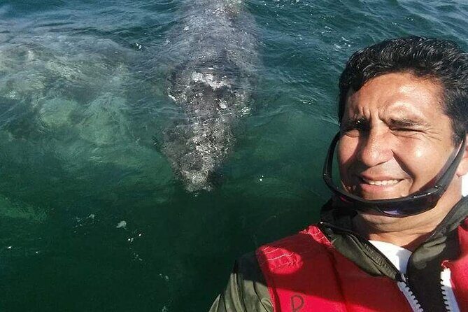 City Tour Cabo San Lucas and San Jose del Cabo - Frequently Asked Questions