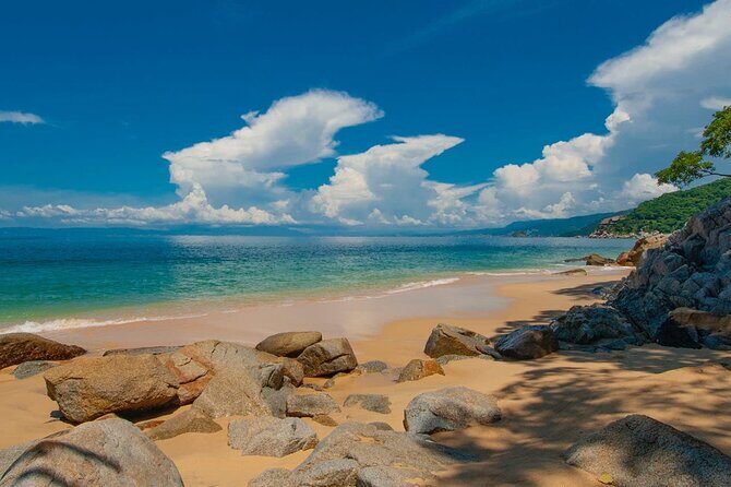 City Tour Express in Puerto Vallarta and Paradise Beaches - Who Will Love This Tour?