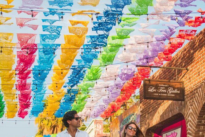 City Tour in San Jose del Cabo & Cabo San Lucas - Transportation and Logistics