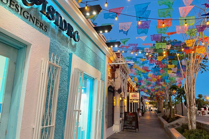 City Tour in San Jose del Cabo & Cabo San Lucas - Final Thoughts: Who Is This Tour Best For?