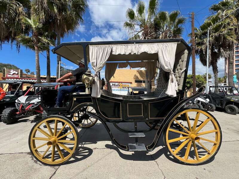 City tour on electric horse wagon. - Key Points